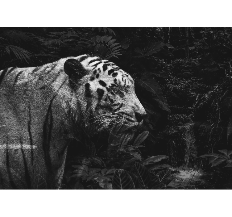 Ζωικά τοιχογραφίες μεγαλοπρεπής λευκή τίγρη - TenStickers