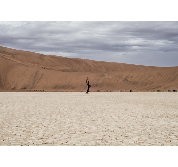 Φωτοταπετσαρία βουνού Θέα στην έρημο - TenStickers