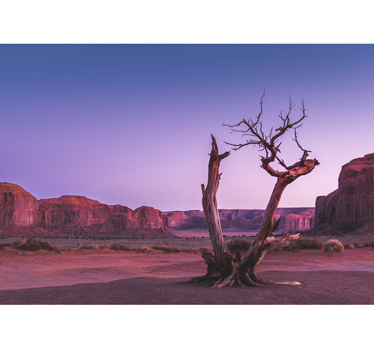 ροζ τοπίο ερήμου τοιχογραφία τοίχου γραφείου στο σπίτι - TenStickers