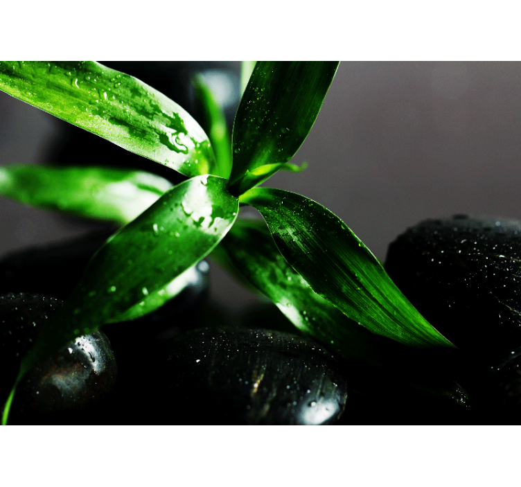 Φωτοταπετσαρία φύσης Υφή Φρέσκων Φύλλων - TenStickers