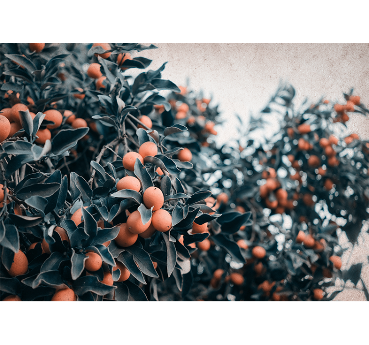 Φωτοταπετσαρία με λουλούδια κλαδί εσπεριδοειδών - TenStickers