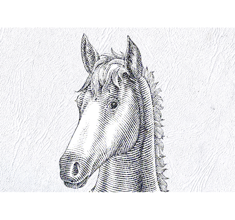 Ζωικά τοιχογραφίες Κομψό Πορτρέτο Αλόγου - TenStickers