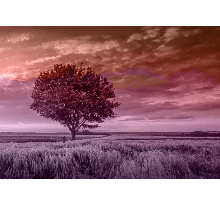 Φωτοταπετσαρία δάσους μοναχικό δέντρο σιλουέτα - TenStickers