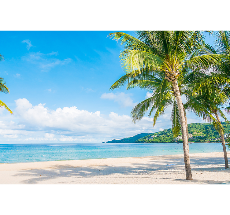 καλοκαιρινή ηλιοφάνεια αισθητική τοιχογραφία τοίχου - TenStickers