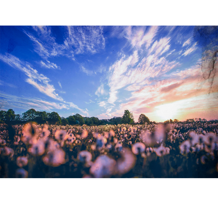 Φωτοταπετσαρία με λουλούδια Ηρεμία από Λουλούδια Δανδέλιου - TenStickers