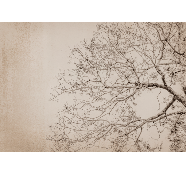 Φωτοταπετσαρία δέντρα όμορφη σιλουέτα κλαδιών - TenStickers