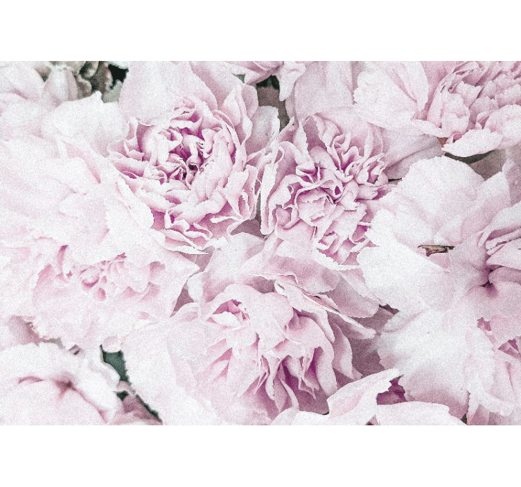 Φωτοταπετσαρία με λουλούδια Ροζ Λουλούδια - TenStickers