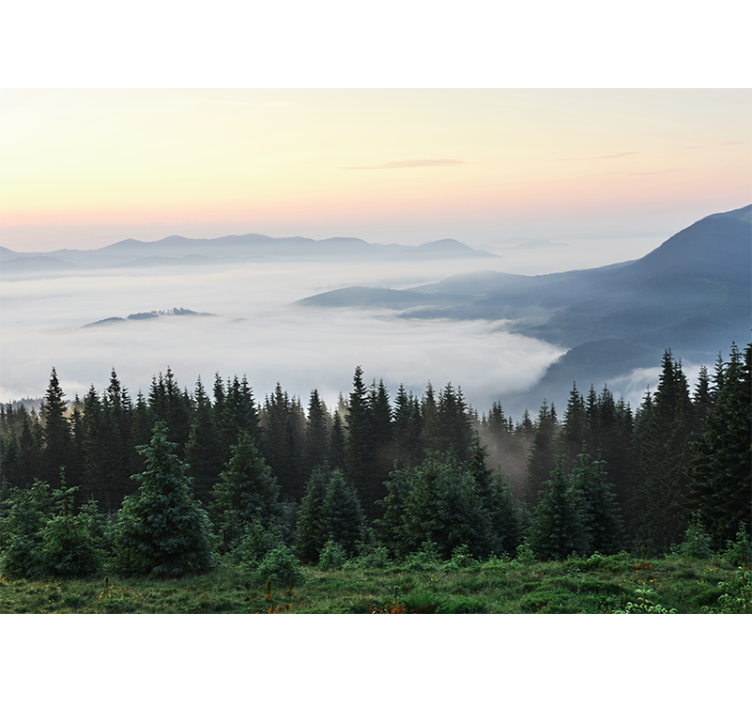 δάσος με θέα στον ήλιο τοιχογραφία φύσης - TenStickers