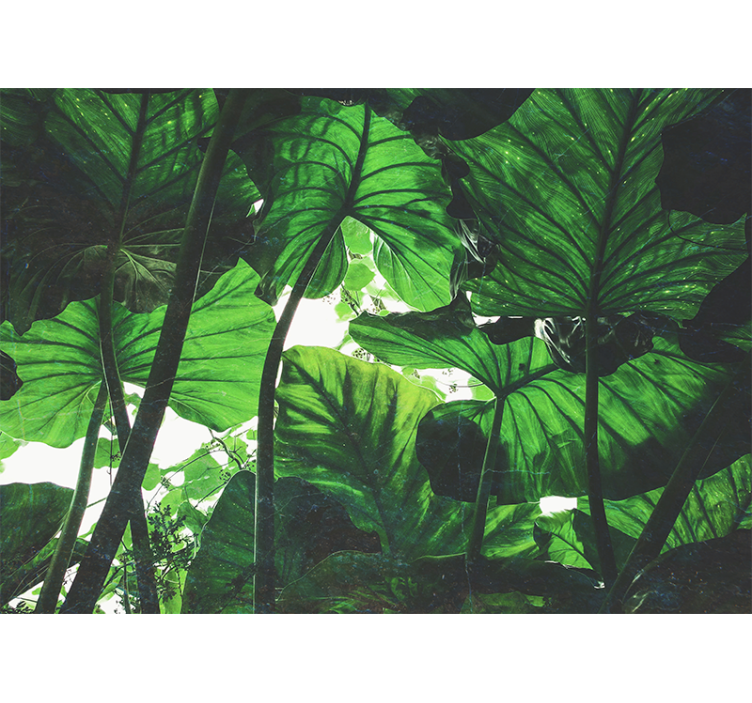 Φωτοταπετσαρία φύσης Πλούσια Φύλλων Στέγη - TenStickers