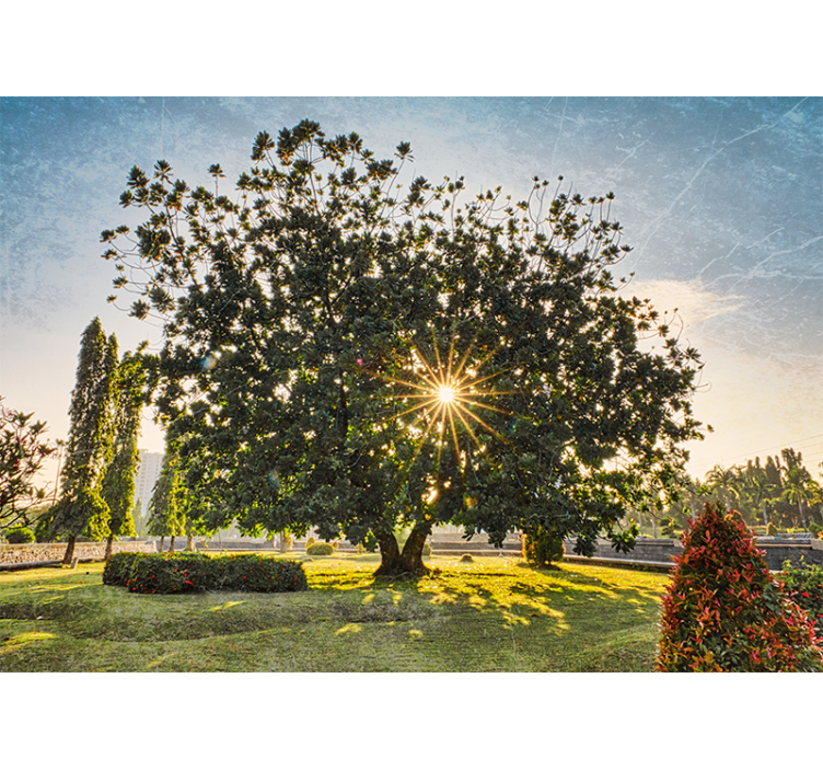 Φωτοταπετσαρία φύσης Θέα από δέντρο στον ήλιο - TenStickers