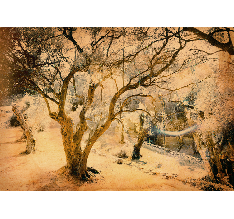 ελιά λεπτομερή τοιχογραφία - TenStickers