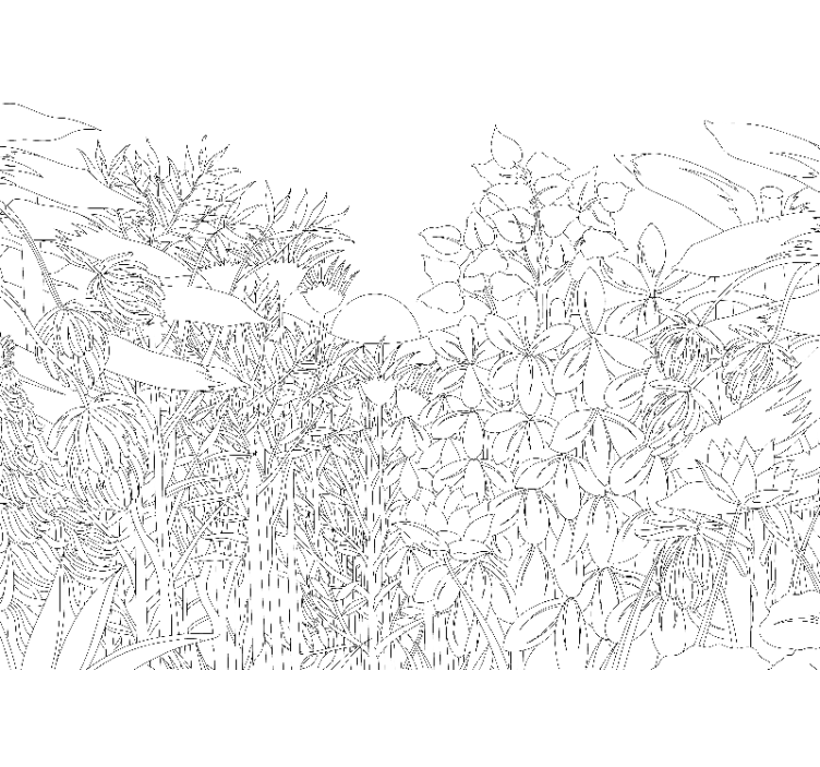 τροπική ζούγκλα σκίτσο δάσος τοίχο - TenStickers