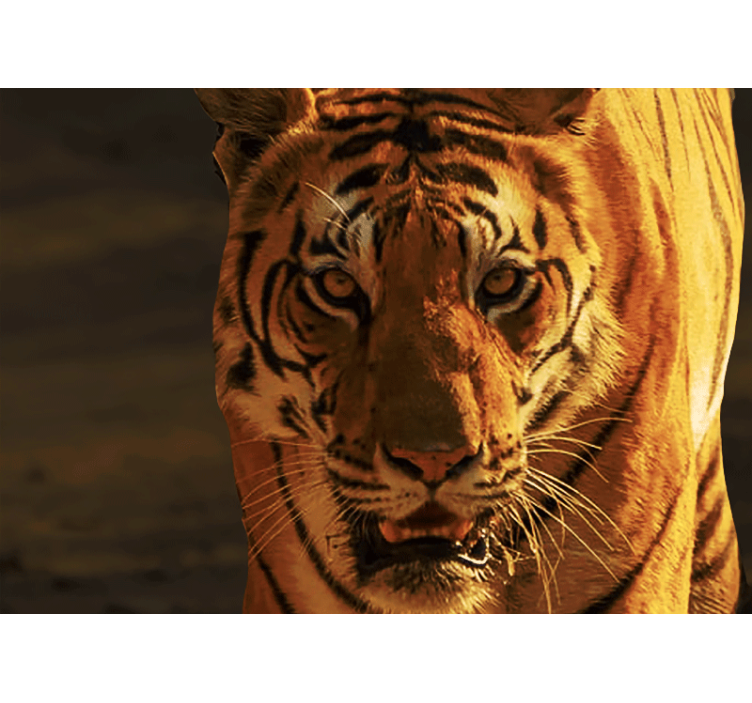 απειλητική και θυμωμένη τοιχογραφία τοίχου τίγρης - TenStickers