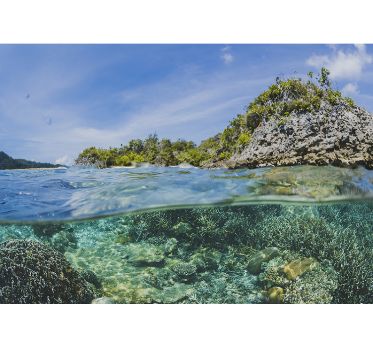 υποβρύχια τοιχογραφία τοίχου - TenStickers