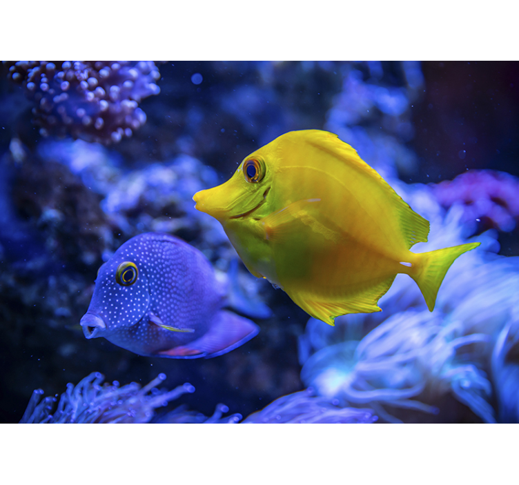 τοιχογραφία γαλάζιου και κίτρινου ψαριού - TenStickers