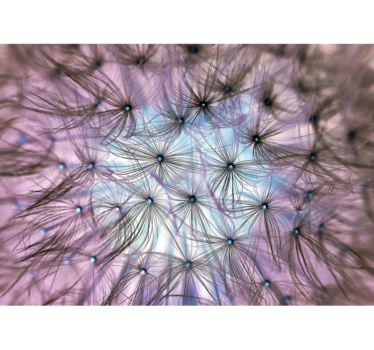 Φωτοταπετσαρία φαντασίας παραλήρημα πικραλίδα - TenStickers