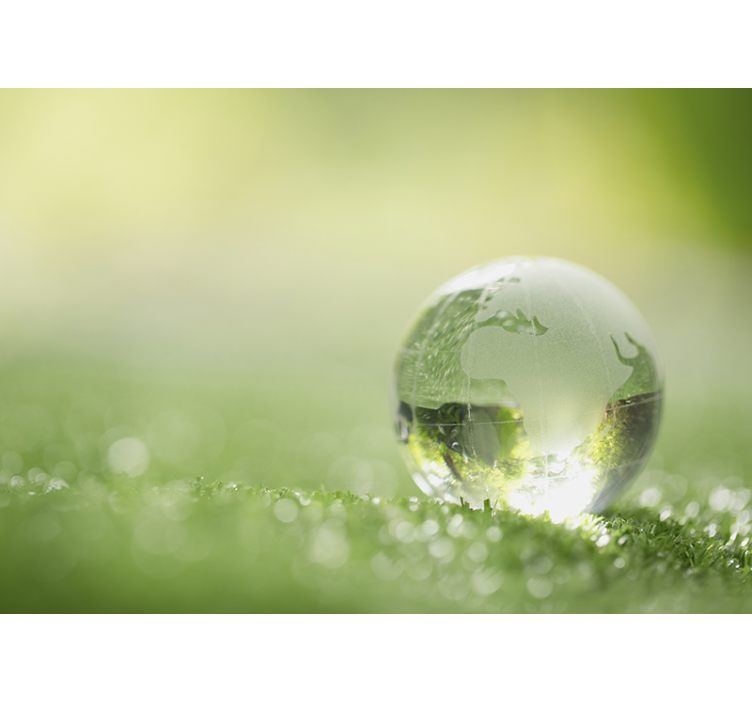 Φωτοταπετσαρία φύσης Σφαίρα σε Χορτάρι - TenStickers