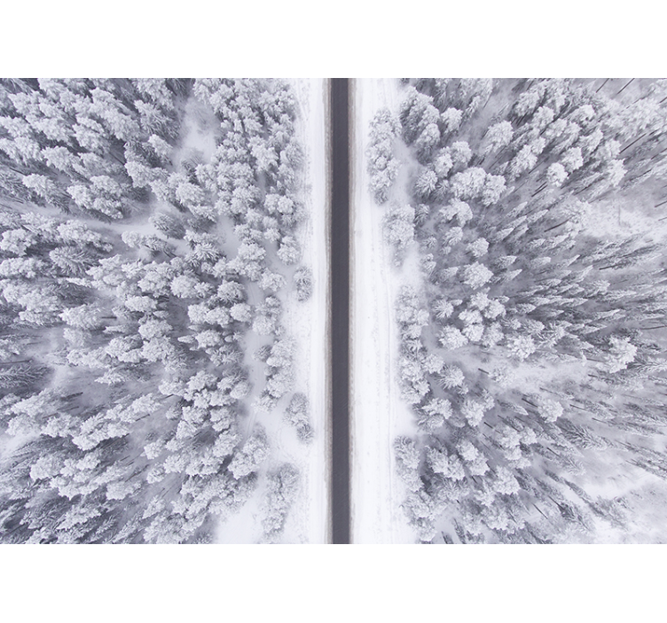 δρόμο μέσα από τοιχογραφία χιονισμένο δάσος τοπίο - TenStickers
