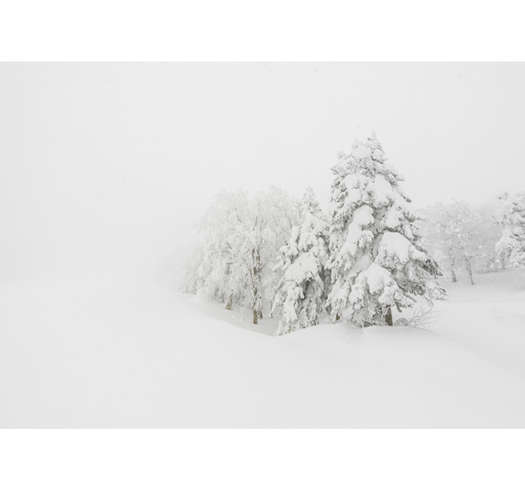 τοιχογραφία χειμερινής καταιγίδας και δασικών τοίχων δέντρων - TenStickers