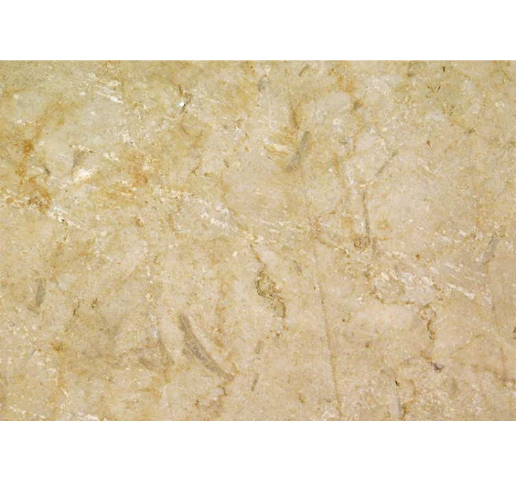 ανοιχτό καφέ πέτρινη τοιχογραφία - TenStickers