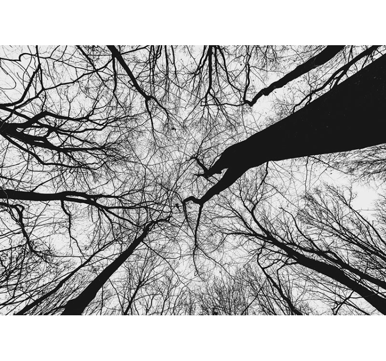 μαγευτική δασική τοιχογραφία - TenStickers