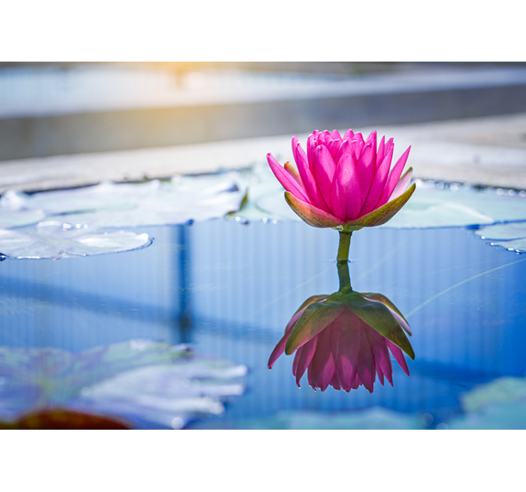 φωτεινό μπλε νερό και ροζ τοιχογραφία λουλουδιών - TenStickers