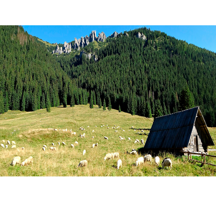 Tαπετσαρία φωτογραφίας τοπίου ορεινή σκηνή πρασίνου - TenStickers