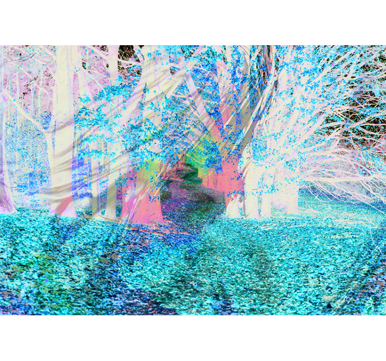 Φωτοταπετσαρία δάσους φθινοπωρινό μονοπάτι - TenStickers