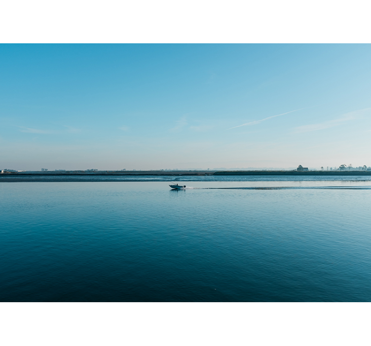 ψάρεμα στο aveiro κάτω από την τοιχογραφία της θάλασσας - TenStickers