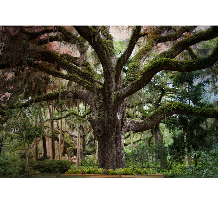 μεγάλη όμορφη τοιχογραφία τοίχου - TenStickers