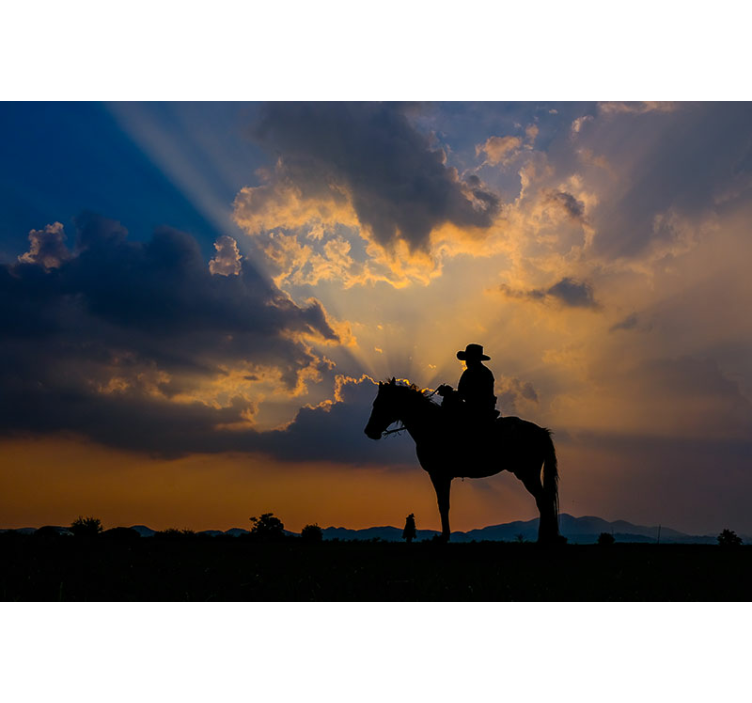 αυτοκόλλητο 3d τοίχο ιππασίας - TenStickers