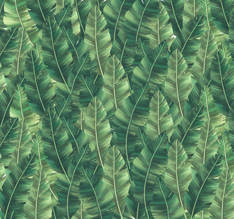 Φωτοταπετσαρία φύσης Μεγάλα φύλλα - TenStickers