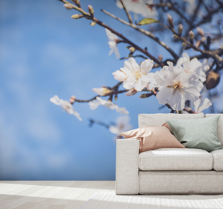 τοιχογραφία φωτογραφιών τοίχων αμυγδαλιών - TenStickers