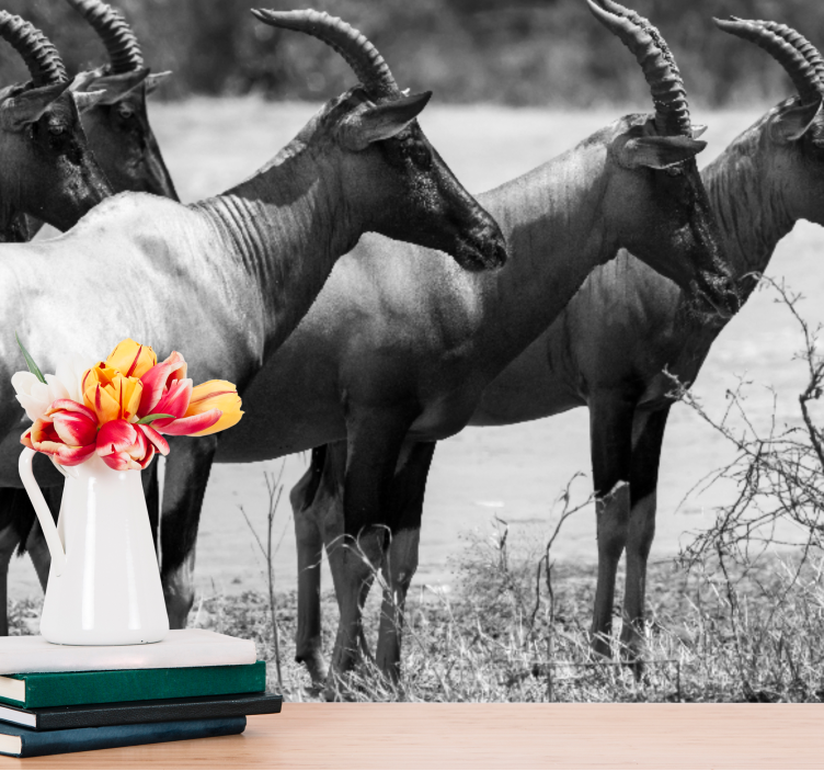 Ζωικά τοιχογραφίες Αγέλη Αφρικανικών Αντελόπων - TenStickers