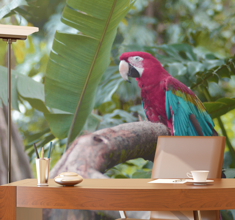 Φωτοταπετσαρία άλλα ζώα Παπαγάλος Μακάο σε χρώματα - TenStickers