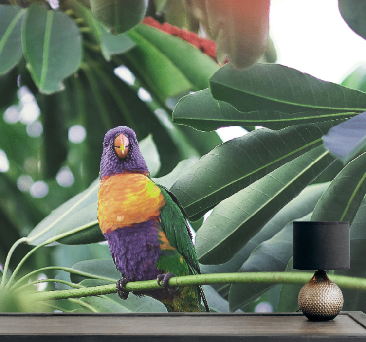 Ζωικά τοιχογραφίες Πολύχρωρος Παπαγάλος Καθιστός - TenStickers