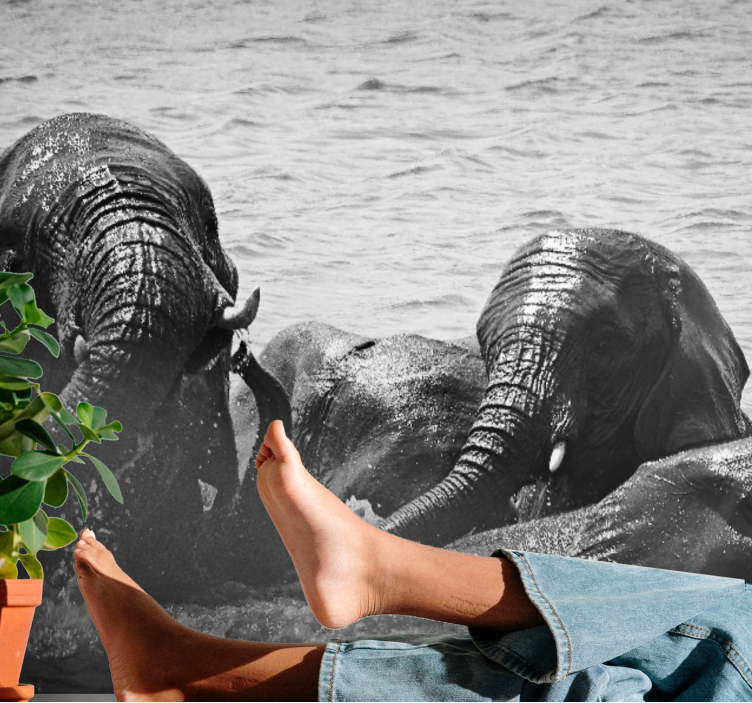 Ζωικά τοιχογραφίες Ελέφαντες σε Υγρή Κατάσταση - TenStickers