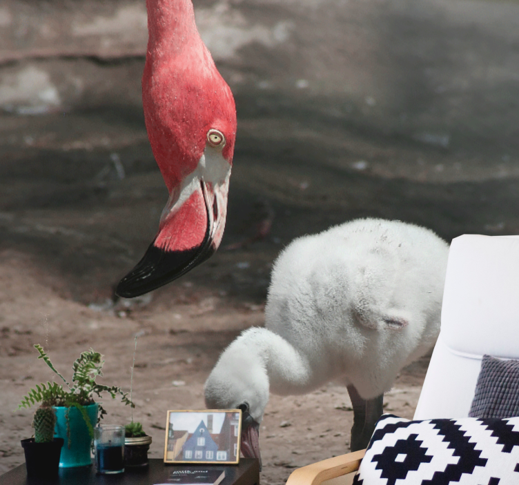 Ζωικά τοιχογραφίες Πιγκουινάκι Φλαμίνγκο - TenStickers