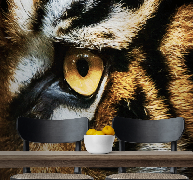 Ζωικά τοιχογραφίες έντονο βλέμμα τίγρης - TenStickers