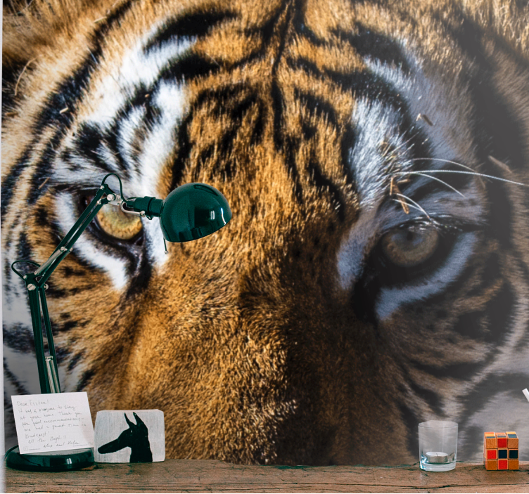 Ζωικά τοιχογραφίες Εντυπωσιακός Τίγρης Κοντινό Πλάνο - TenStickers