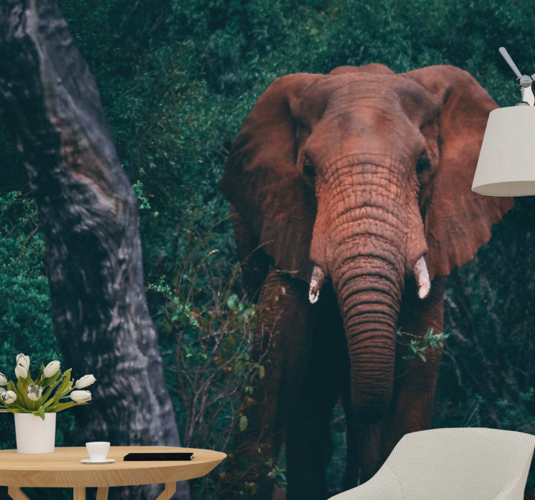 Ζωικά τοιχογραφίες Μεγαλοπρεπής Παρουσία Ελέφαντα - TenStickers