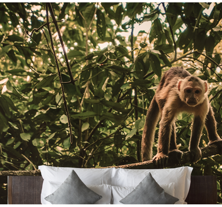 Ζωικά τοιχογραφίες μαϊμού σε κλαδί - TenStickers