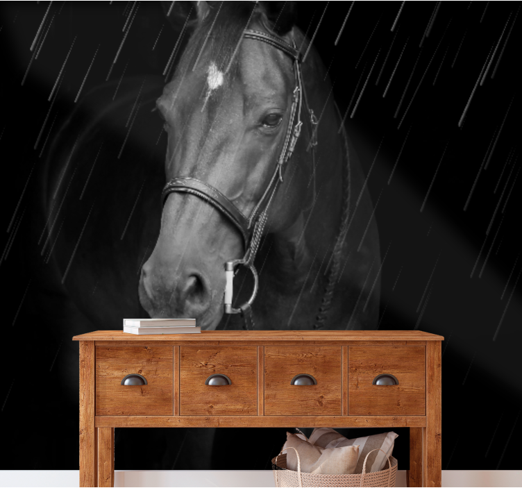 Ζωικά τοιχογραφίες Βασιλικό Πορτρέτο Ιππικού - TenStickers