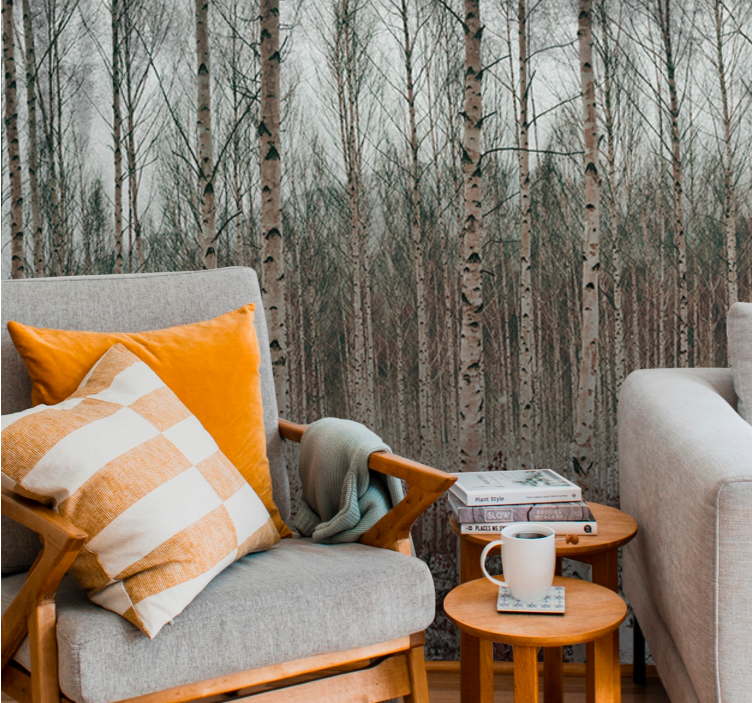 σημύδα γκρι δέντρα δάσος τοιχογραφία - TenStickers