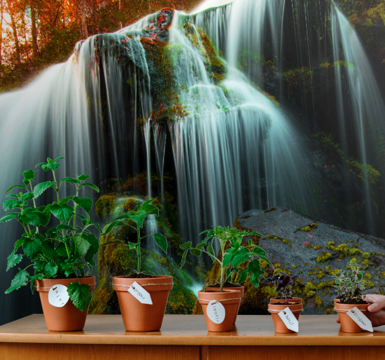 τοιχογραφία τοίχου καταρράκτη βαθύ δάσος - TenStickers