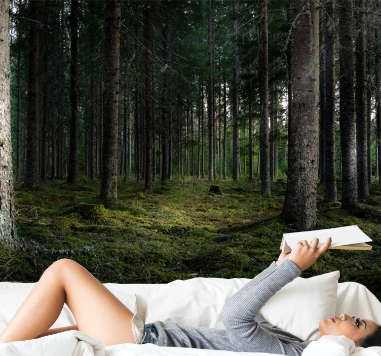 Φωτοταπετσαρία δάσους γαλήνιο τοπίο - TenStickers