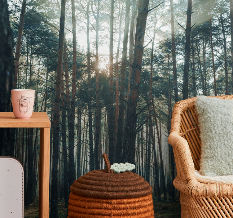 Φωτοταπετσαρία δάσους ήσυχο πευκοδάσος - TenStickers