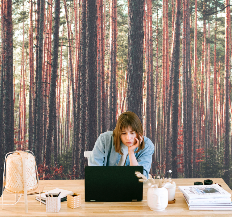 Φωτοταπετσαρία δάσους ήσυχων πεύκων - TenStickers