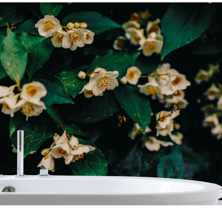 τοιχογραφίες λουτρών λουλουδιών γιασεμιού - TenStickers