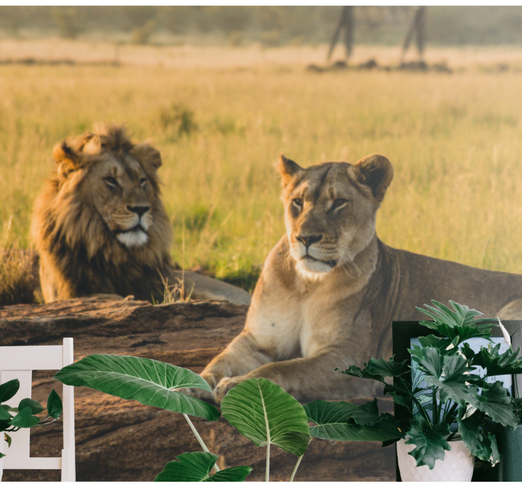 Λεώνες στην τοιχογραφία του λιονταριού σαβάνα - TenStickers